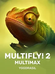 Multifly! 2